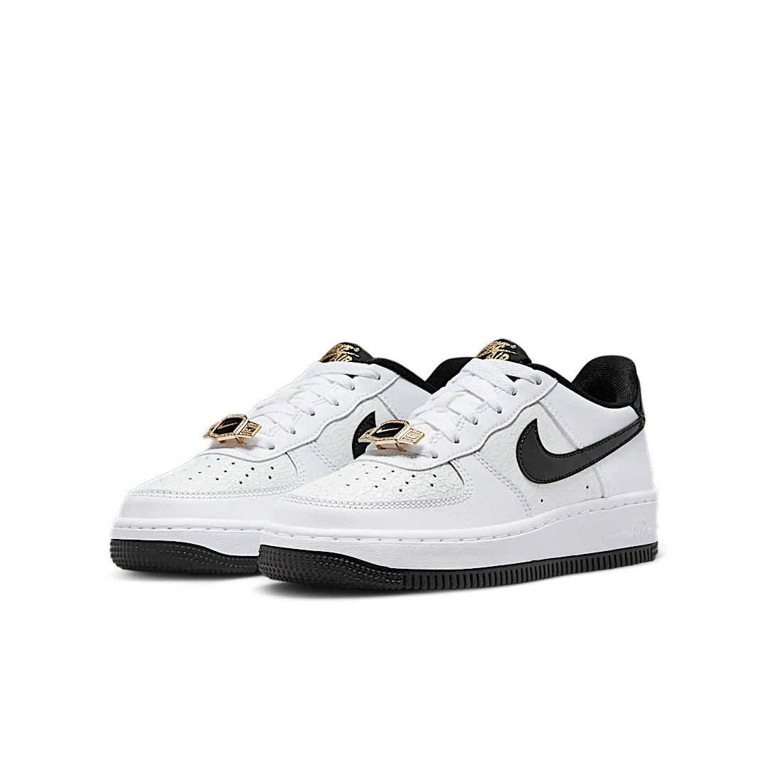 Overkicks - Nike Air Force 1 Low World Champion (DQ0300-100) - vista trasera