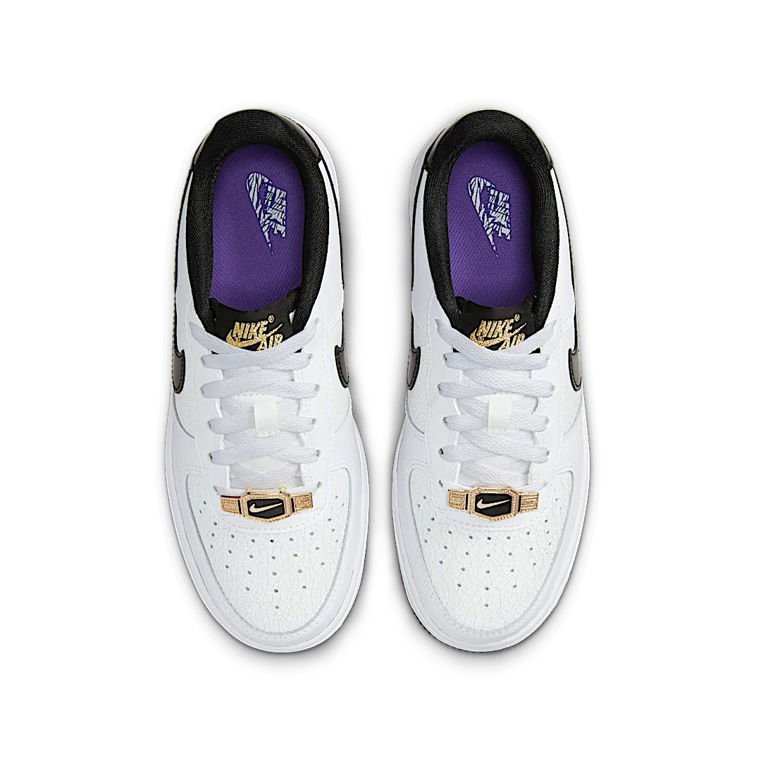 Overkicks - Nike Air Force 1 Low World Champion (DQ0300-100) - par completo