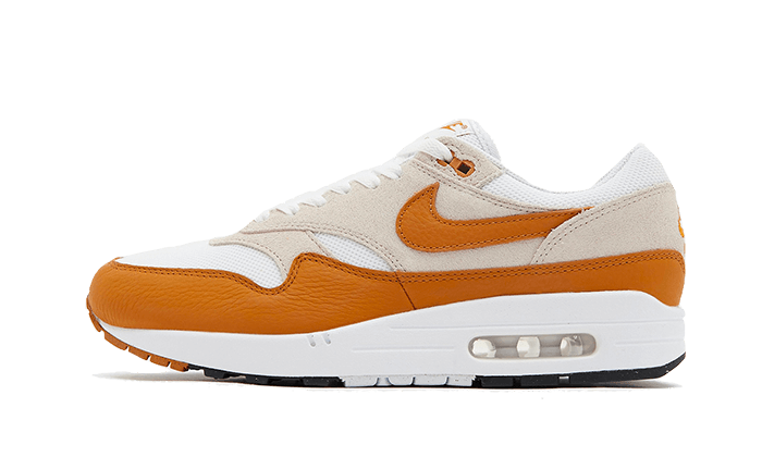 Overkicks - Nike Air Max 1 Bronze (DZ4549-110) - vista lateral