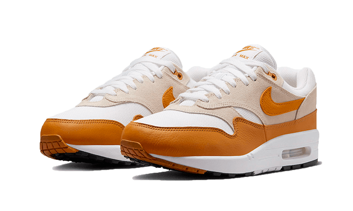 Overkicks - Nike Air Max 1 Bronze (DZ4549-110) - vista trasera