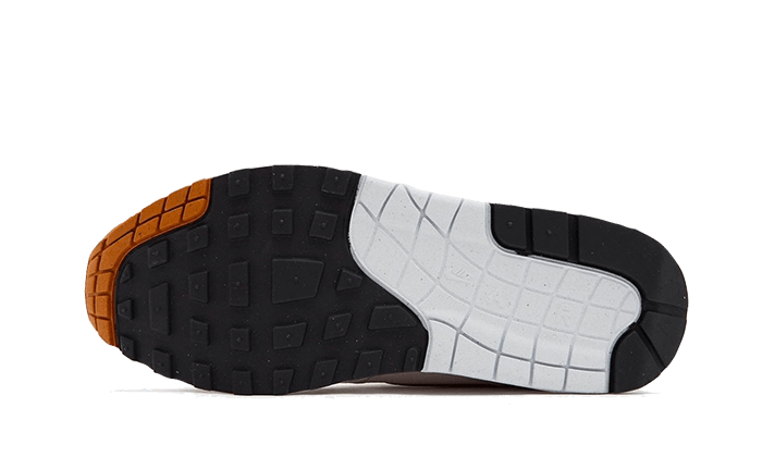 Overkicks - Nike Air Max 1 Bronze (DZ4549-110) - par completo