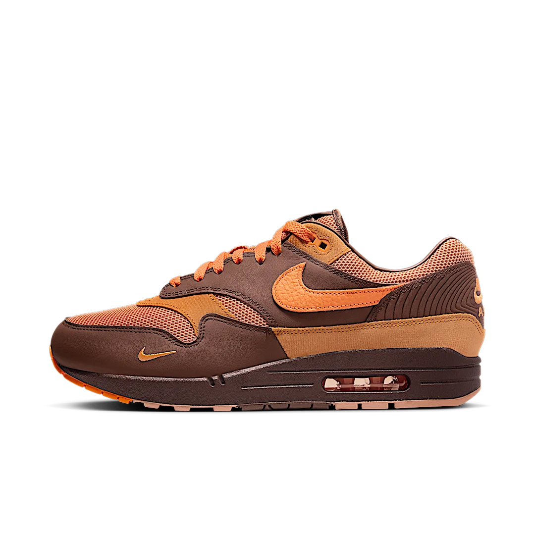 Overkicks - Nike Air Max 1 Kings Day (HF7346-200) - vista lateral