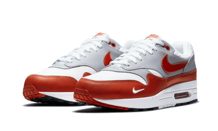 Overkicks - Nike Air Max 1 Martian Sunrise (DH4059-102) - vista trasera