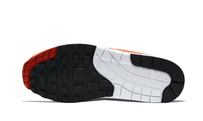 Overkicks - Nike Air Max 1 Martian Sunrise (DH4059-102) - par completo