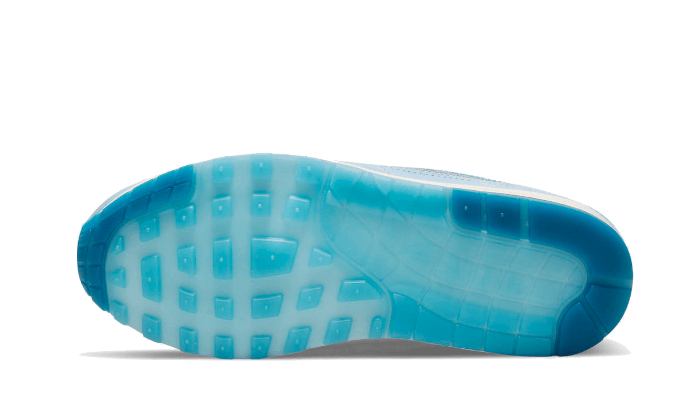 Overkicks - Nike Air Max 1 Premium Blueprint (DR0448-100) - par completo