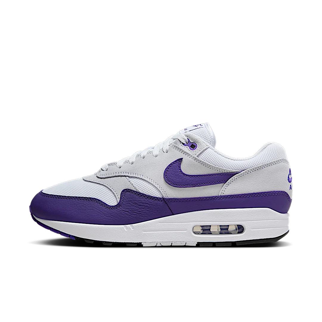 Overkicks - Nike Air Max 1 SC Field Purple (DZ4549-101) - vista lateral