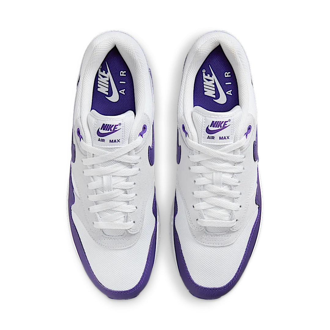 Overkicks - Nike Air Max 1 SC Field Purple (DZ4549-101) - par completo