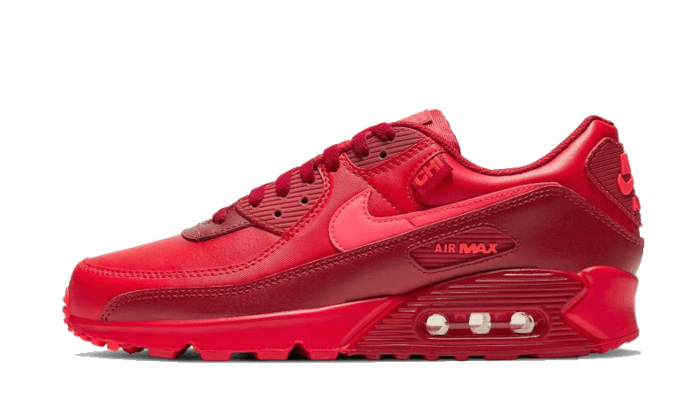 Overkicks - Nike Air Max 90 City Special Chicago (DH0146-600) - vista lateral