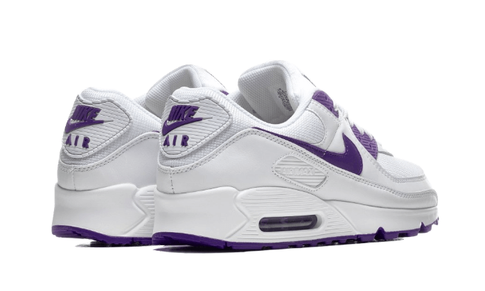 Overkicks - Nike Air Max 90 Color Pack Court Purple (CT1028-100) - par completo