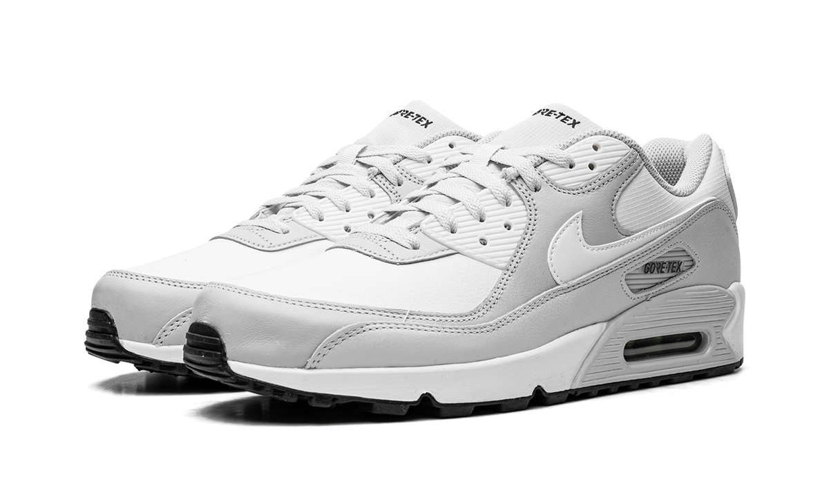Overkicks - Nike Air Max 90 Gore-Tex Photon Dust (DJ9779-003) - vista trasera