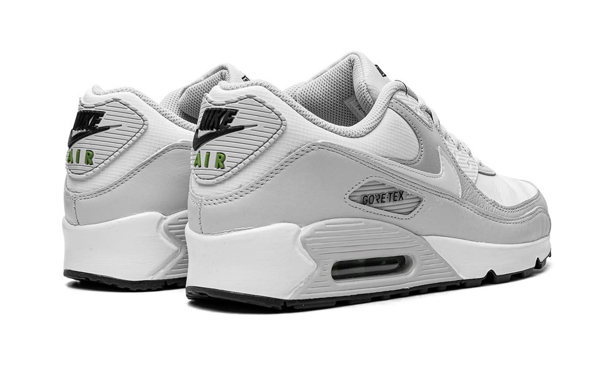 Overkicks - Nike Air Max 90 Gore-Tex Photon Dust (DJ9779-003) - par completo