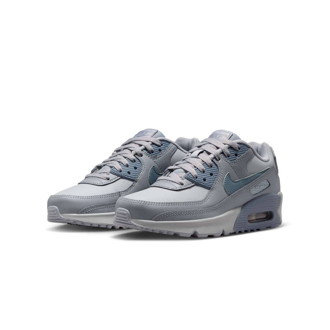 Overkicks - Nike Air Max 90 LTR Wolf Grey Stealth Armory Blue (CD6864-032) - vista trasera