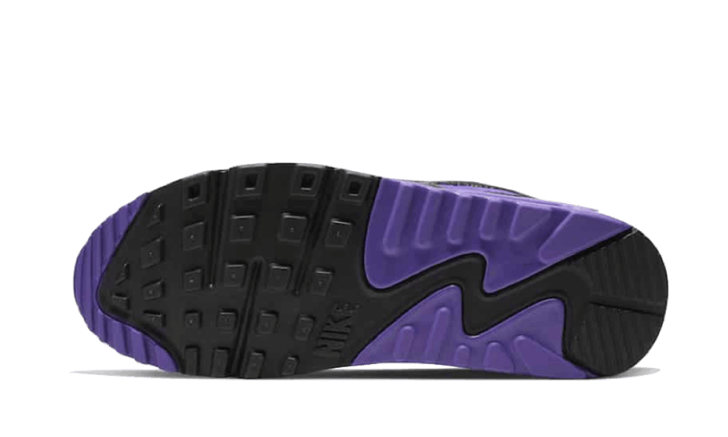 Overkicks - Nike Air Max 90 Recraft Hyper Grape (CD0490-103) - par completo