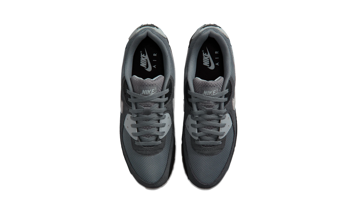 Overkicks - Nike Air Max 90 Smoke Grey Black Photon Dust (DM0029-020) - vista superior