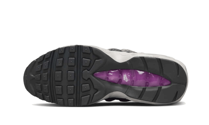 Overkicks - Nike Air Max 95 Viotech Anthracite (DX2955-001) - par completo