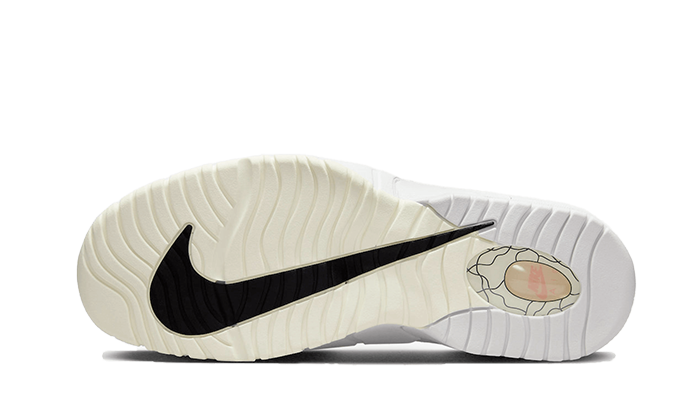 Overkicks - Nike Air Max Penny 1 PRM Photon Dust Summit White (DX5801-001) - par completo