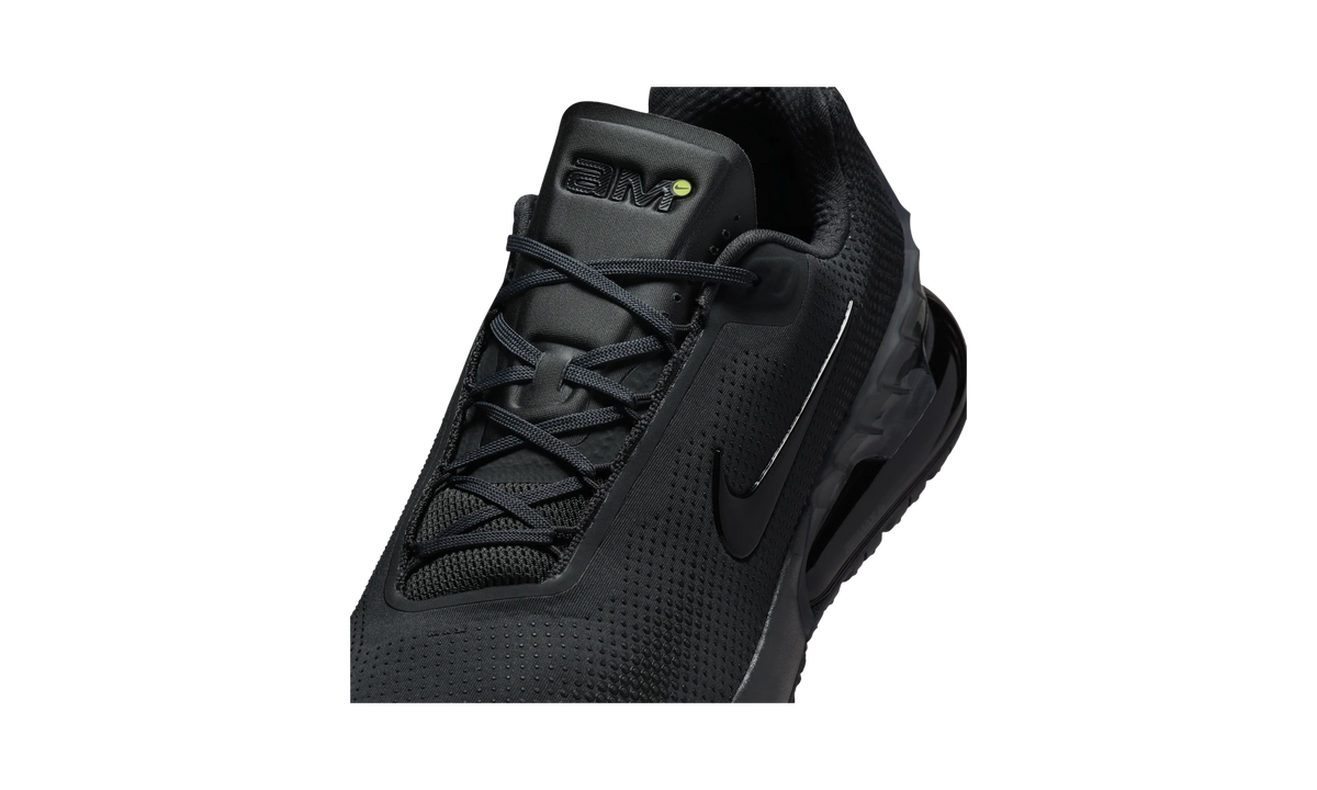 Overkicks - Nike Air Max Phoenix Anthracite Black (FZ5307-008) - detalle lateral interior