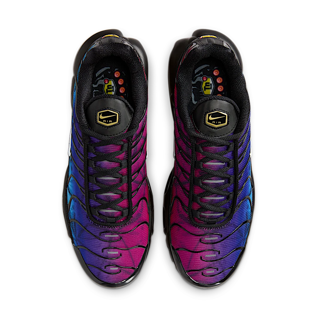Overkicks - Nike Air Max Plus 25th Anniversary (FV0393-001) - par completo