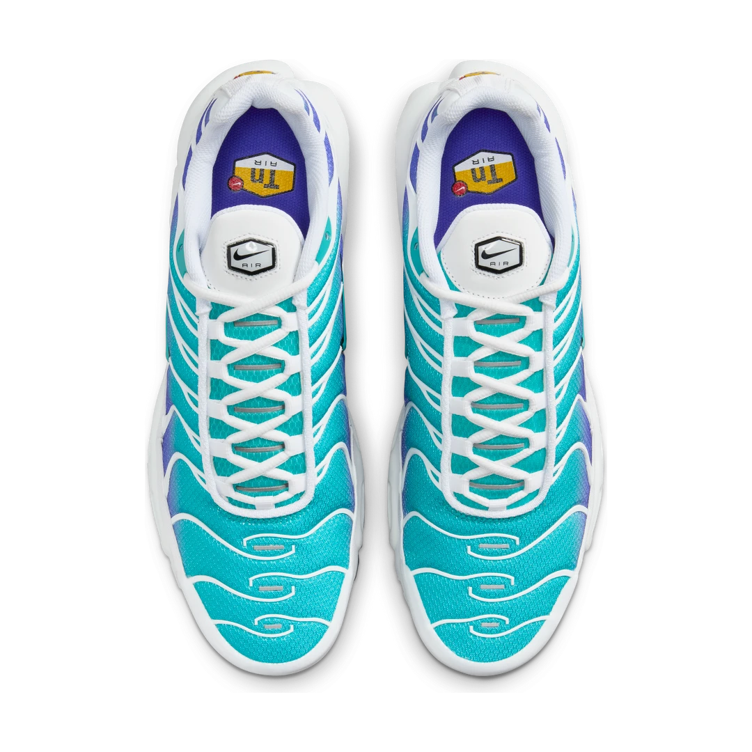 Overkicks - Nike Air Max Plus Aqua (DM0032-102) - par completo