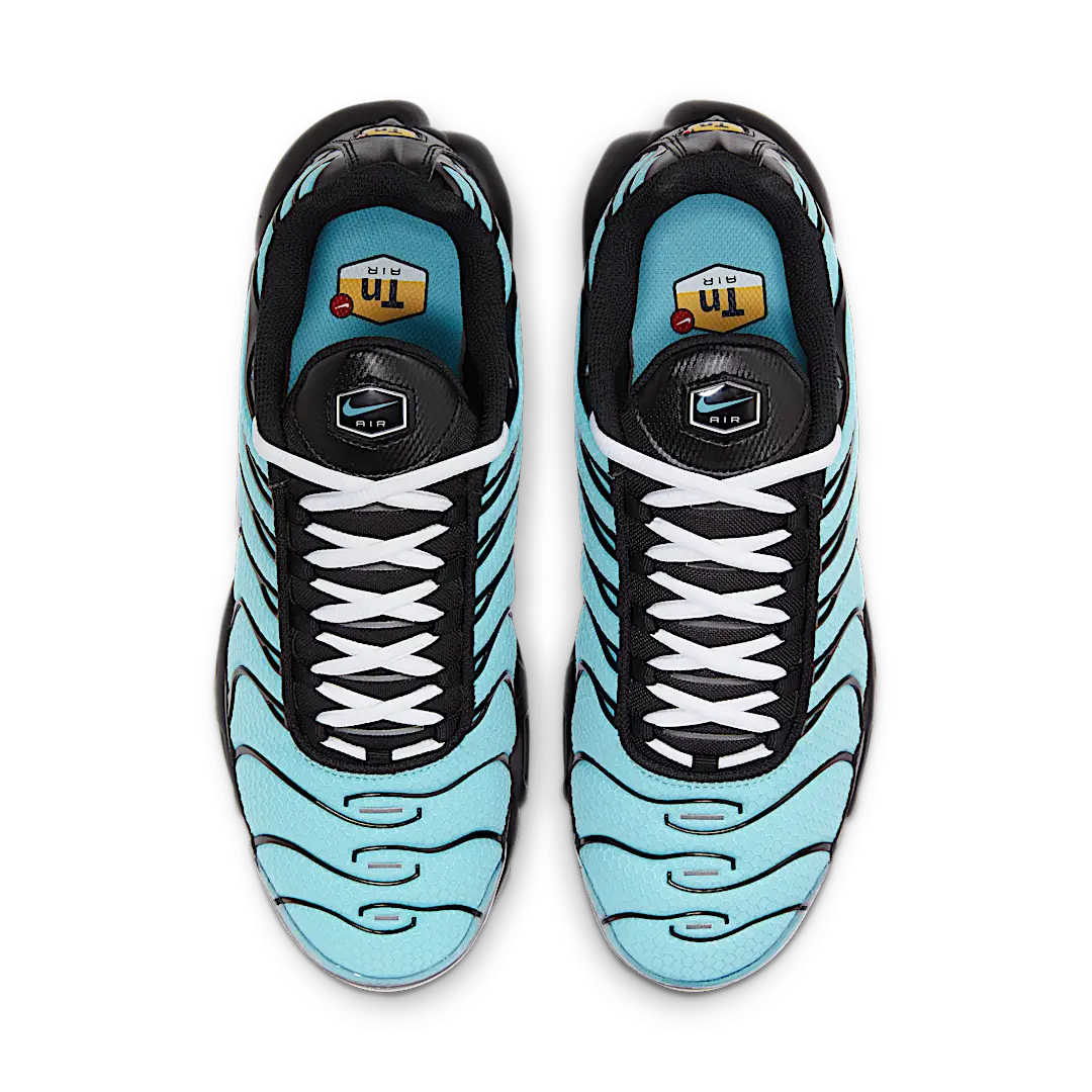 Overkicks - Nike Air Max Plus Aqua Blue (CV8838-400) - par completo