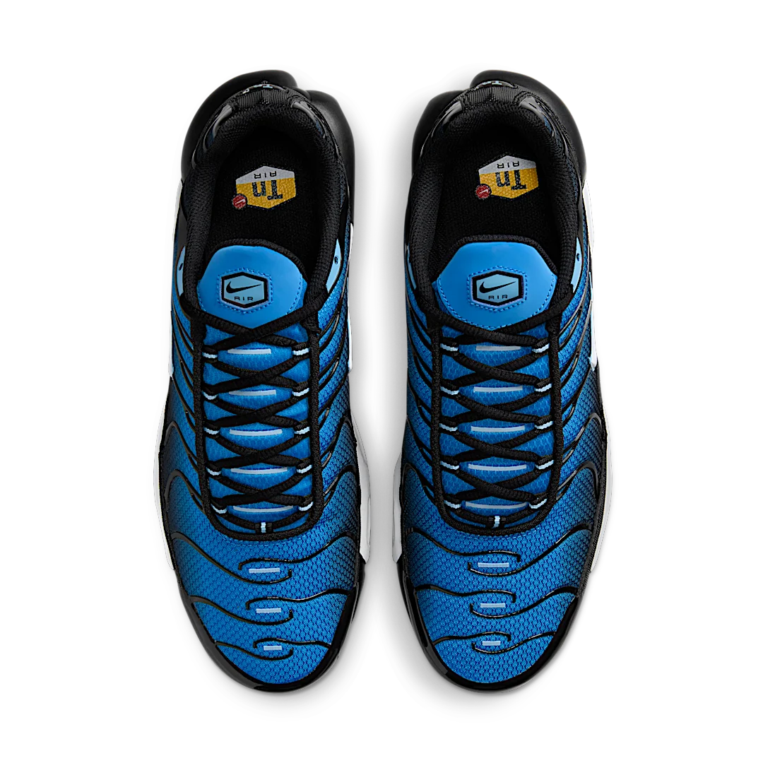 Overkicks - Nike Air Max Plus Aquarius Blue (DM0032-402) - par completo