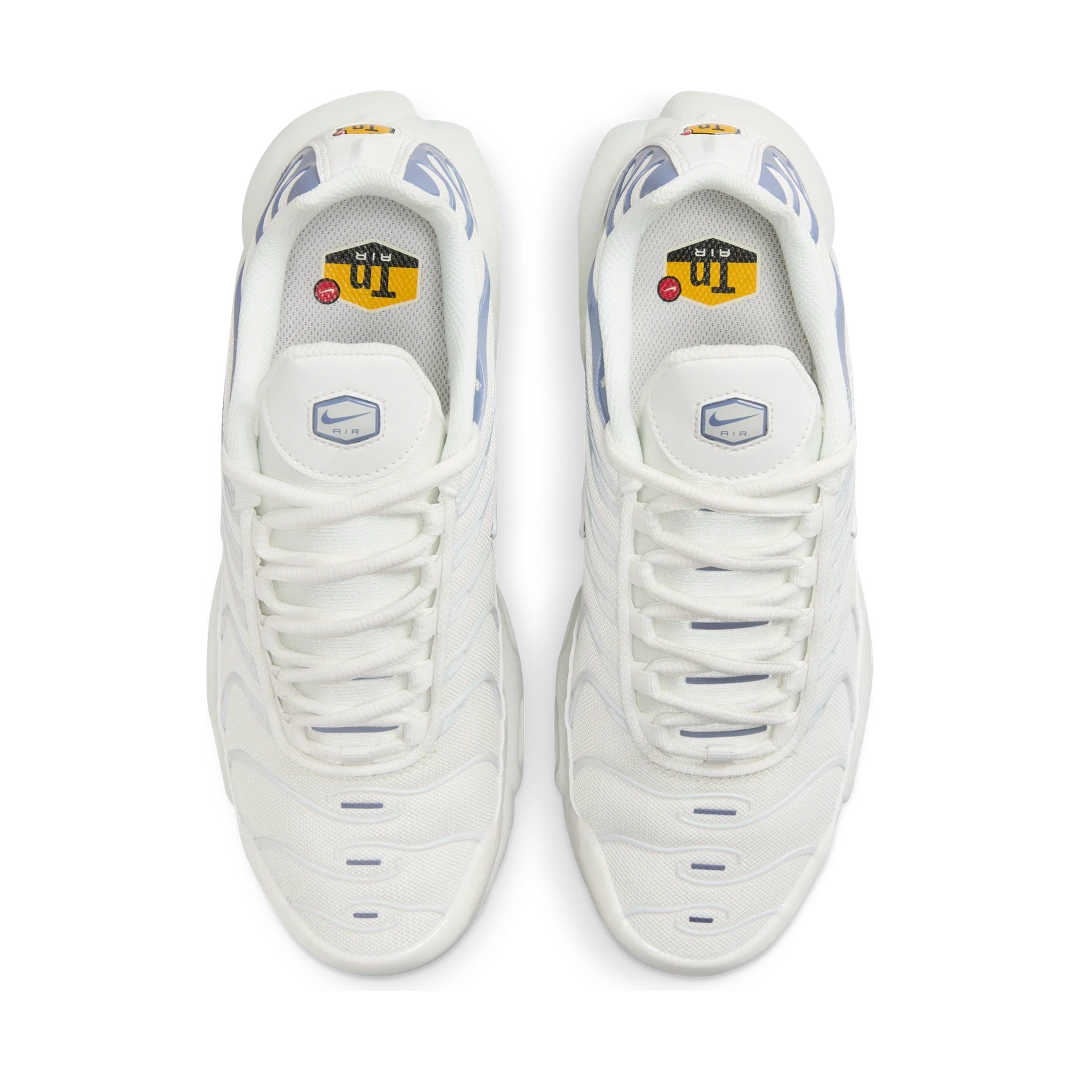 Overkicks - Nike Air Max Plus Ashen Slate (Womens) (DZ3671-104) - par completo
