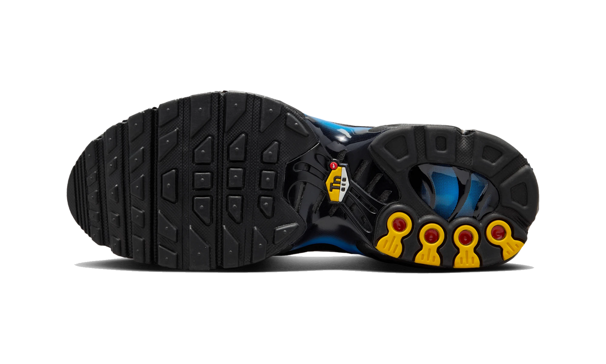 Overkicks - Nike Air Max Plus Black Blue Crystal (CD0609-051) - par completo
