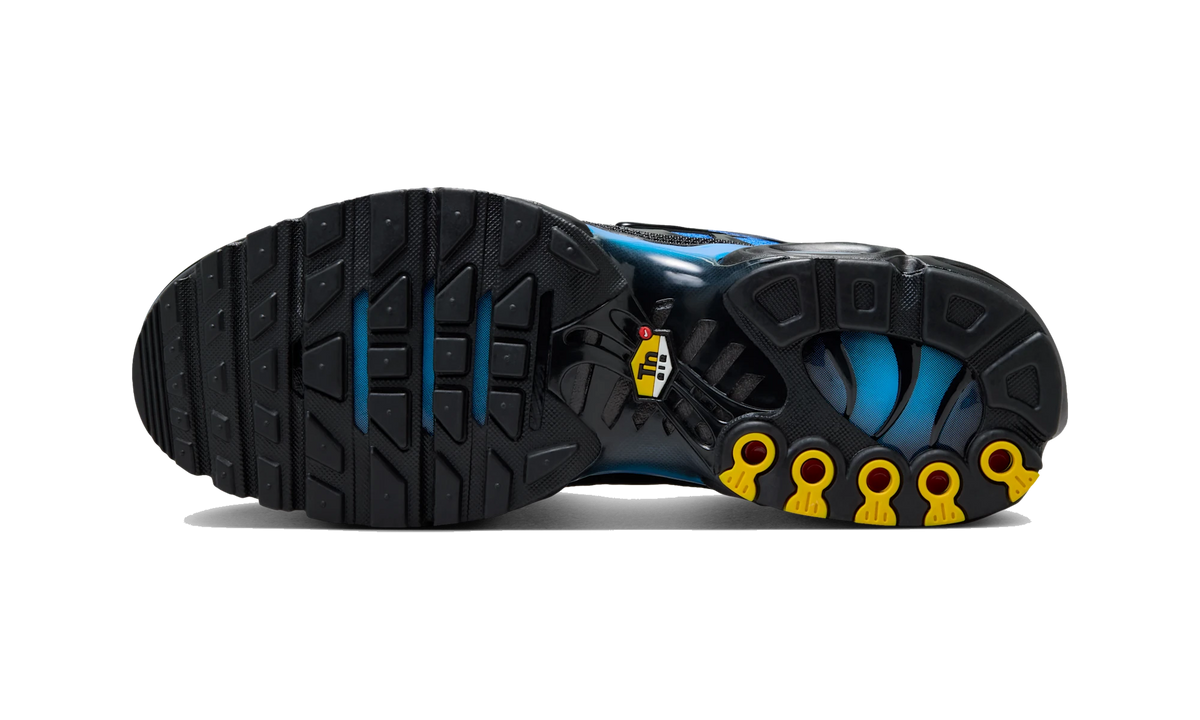 Overkicks - Nike Air Max Plus Black Blue Crystal (DM0032-041) - par completo