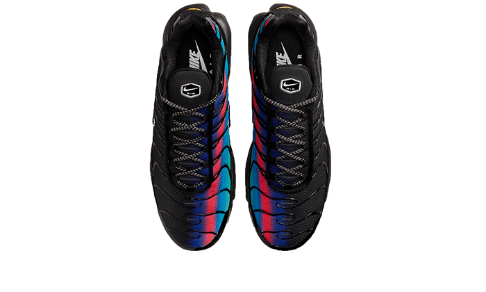 Overkicks - Nike Air Max Plus Black Blue Red (DZ4509-001) - par completo