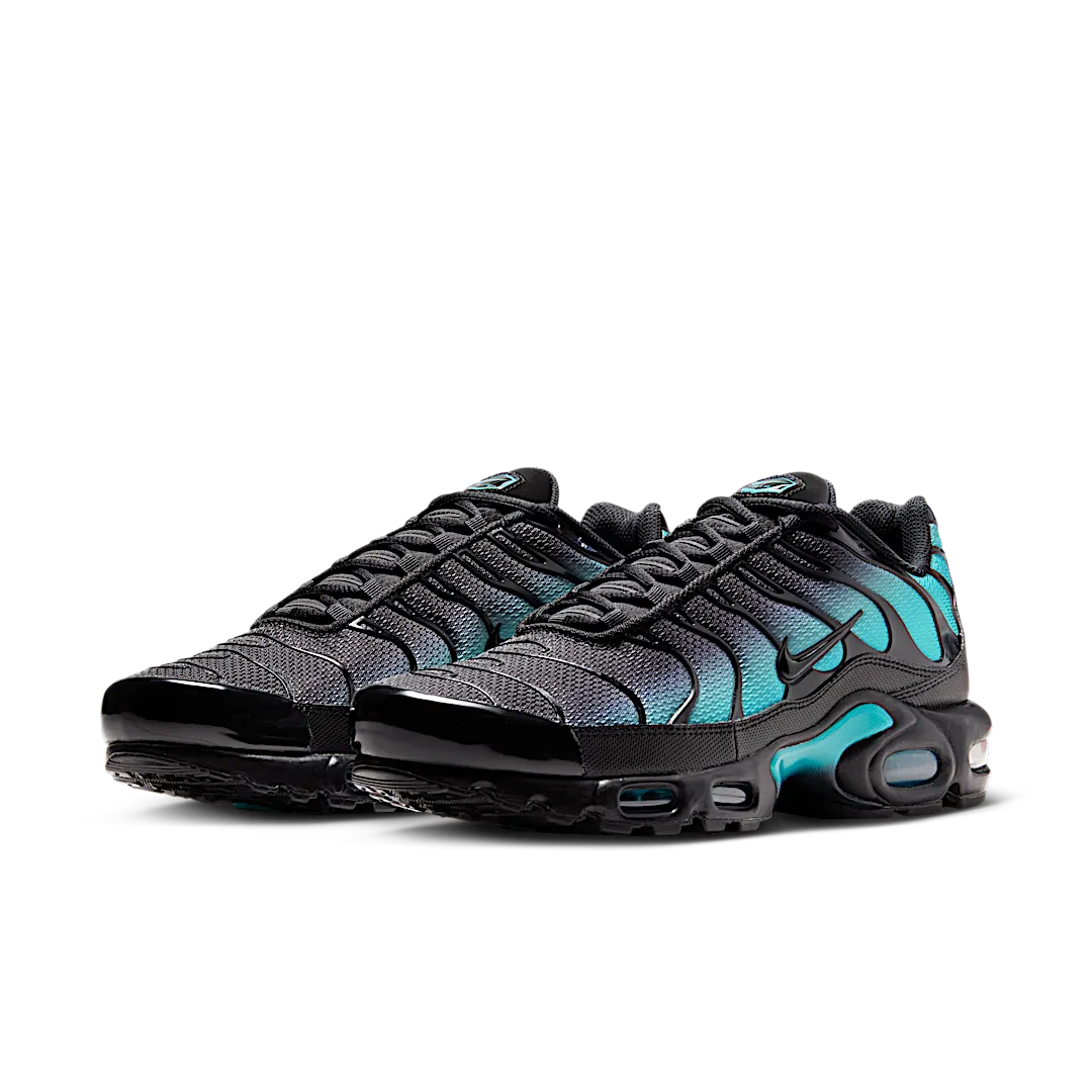 Overkicks - Nike Air Max Plus Black Dusty Cactus (DM0032-016) - vista trasera