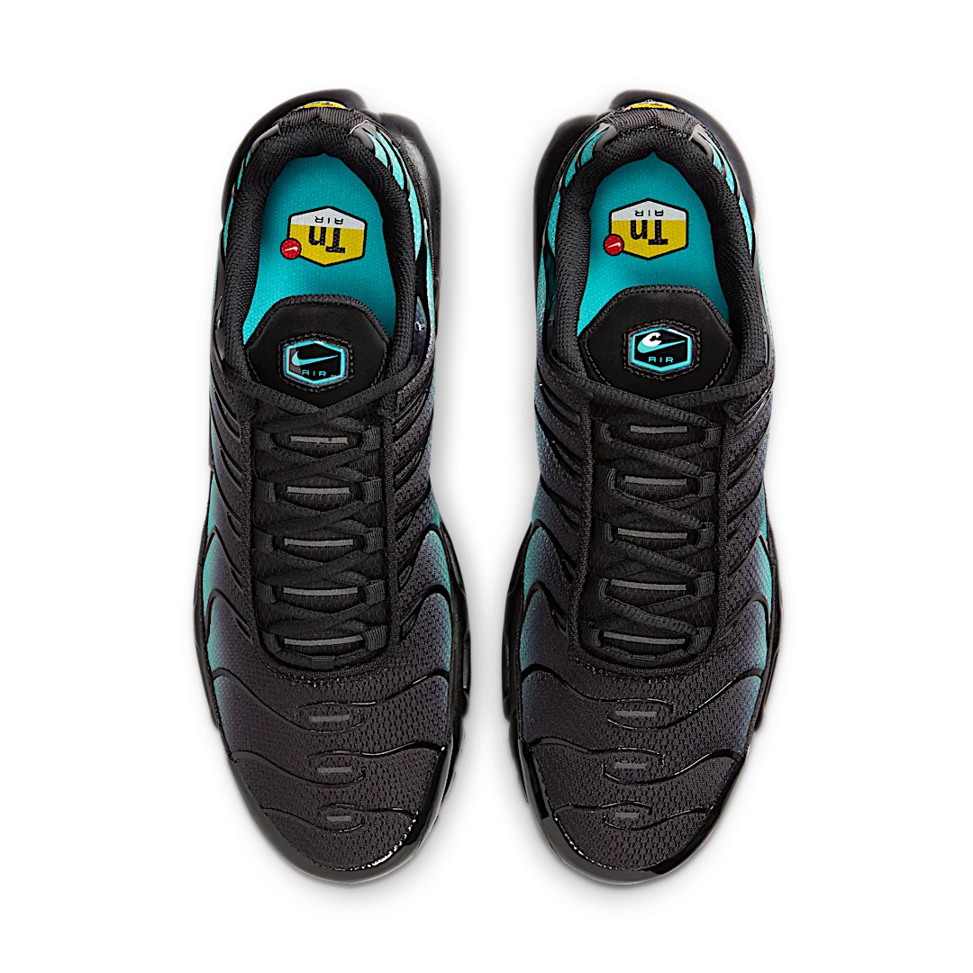 Overkicks - Nike Air Max Plus Black Dusty Cactus (DM0032-016) - par completo