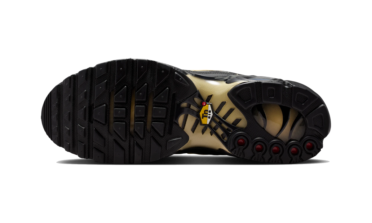 Overkicks - Nike Air Max Plus Black Honey (IQ0287-010) - par completo