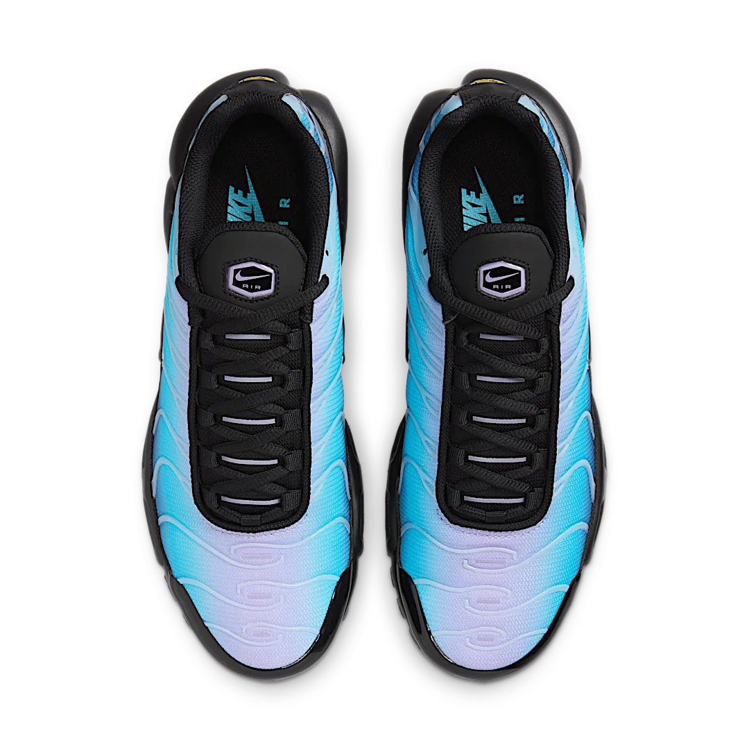 Overkicks - Nike Air Max Plus Black Hydrangeas (Womens) (HV2510-001) - par completo