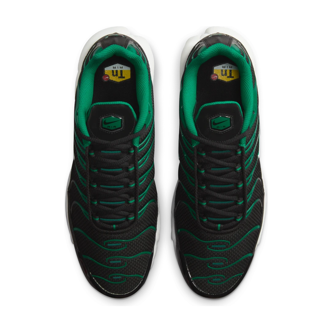 Overkicks - Nike Air Max Plus Black Malachite (DM0032-009) - par completo