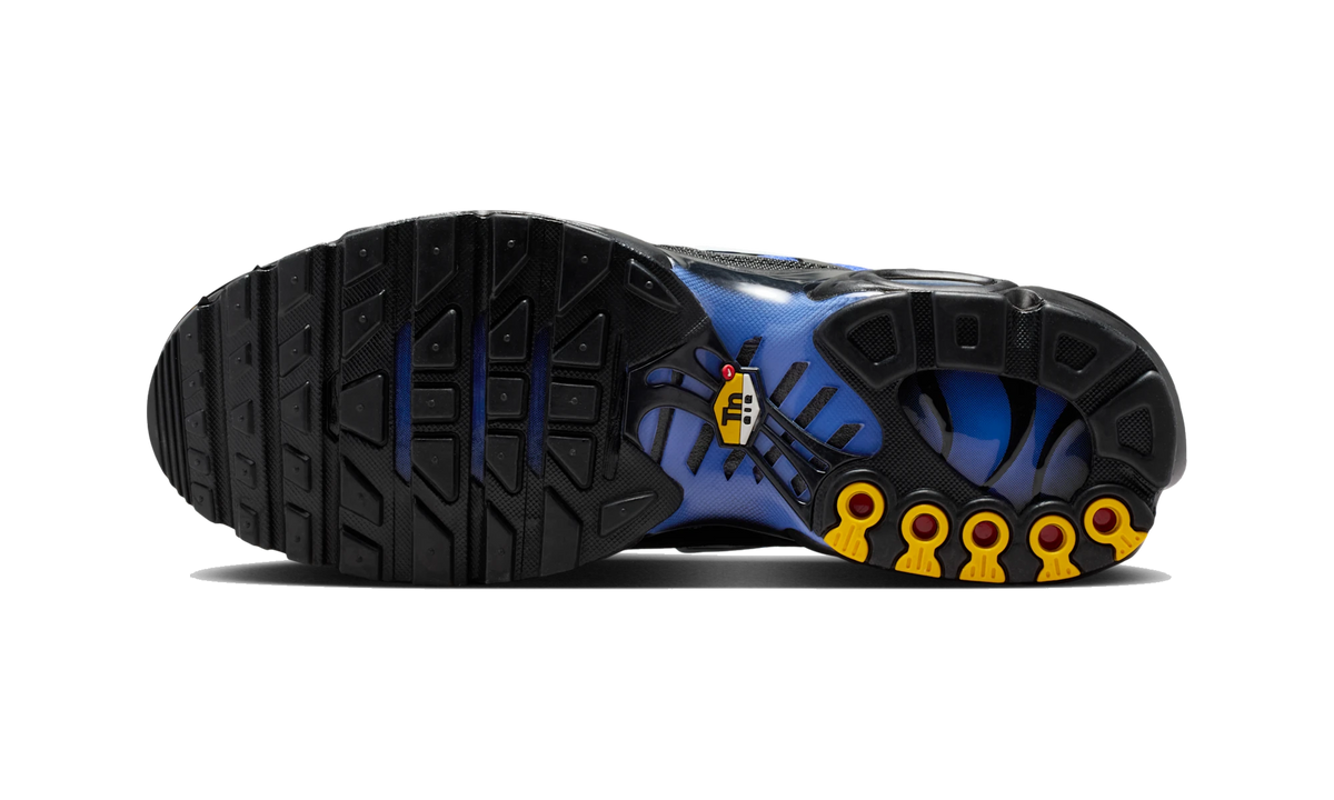 Overkicks - Nike Air Max Plus Black Sapphire White (DM0032-031) - par completo