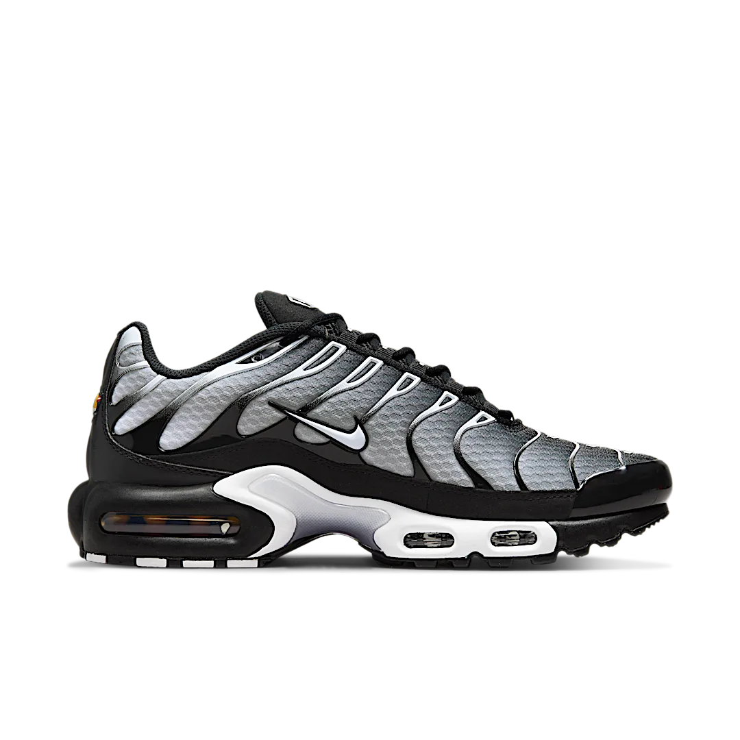 Overkicks - Nike Air Max Plus Black Silver White (DM0032-003) - par completo