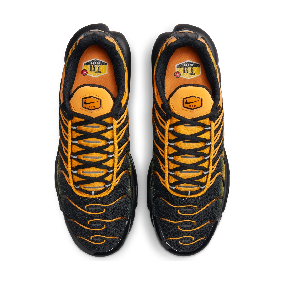 Overkicks - Nike Air Max Plus Black Sundial (DM0032-007) - par completo