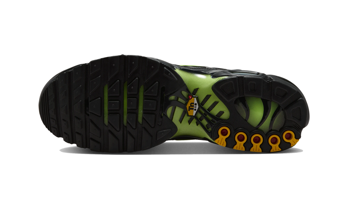Overkicks - Nike Air Max Plus Black Volt Ice (DM0032-036) - par completo