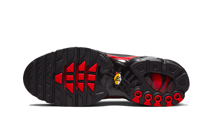 Overkicks - Nike Air Max Plus Bred Reflective (DZ4507-600) - par completo