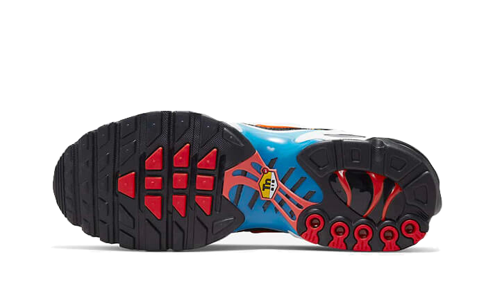 Overkicks - Nike Air Max Plus Brixton Graffiti (DX2665-001) - par completo