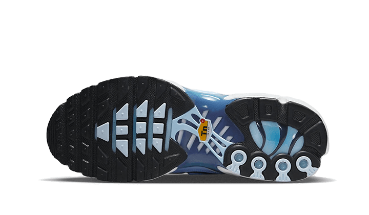 Overkicks - Nike Air Max Plus Celestine Blue (Womens) (FJ4736-400) - par completo