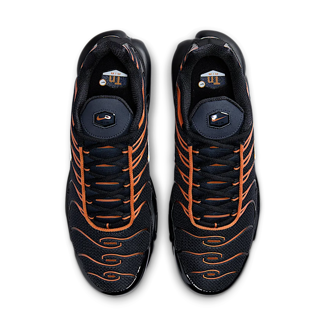 Overkicks - Nike Air Max Plus Dark Obsidian Monarch (FN6949-400) - par completo