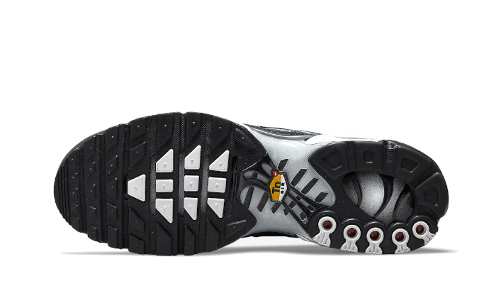 Overkicks - Nike Air Max Plus Dark Smoke Grey (DO6384-001) - par completo
