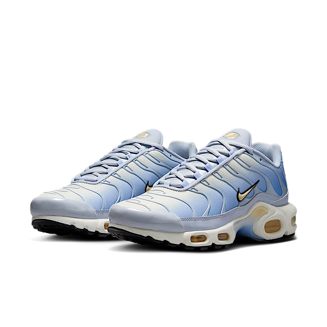 Overkicks - Nike Air Max Plus Daybreak (DZ3670-004) - vista trasera