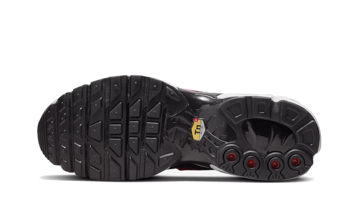 Overkicks - Nike Air Max Plus Dusk (Womens) (DZ3670-500) - par completo