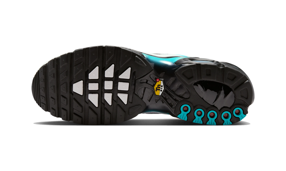 Overkicks - Nike Air Max Plus Dusty Cactus/Black/White (IU7539-345) - par completo