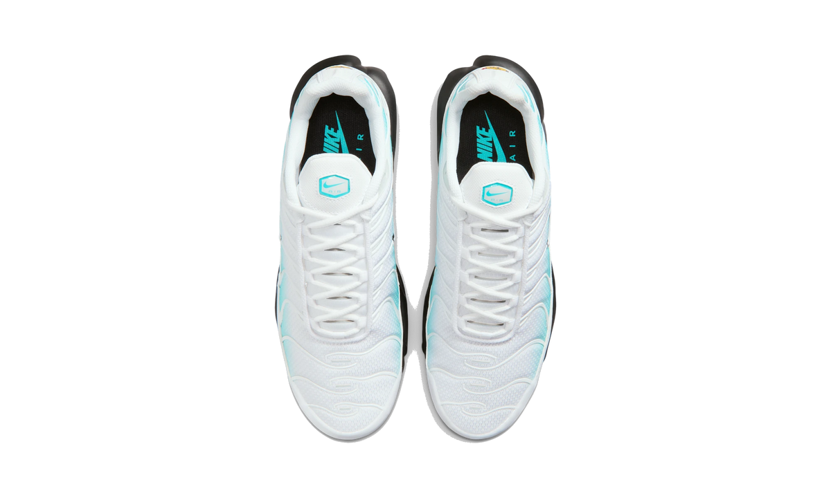 Overkicks - Nike Air Max Plus Dusty Cactus/Black/White (IU7539-345) - vista superior