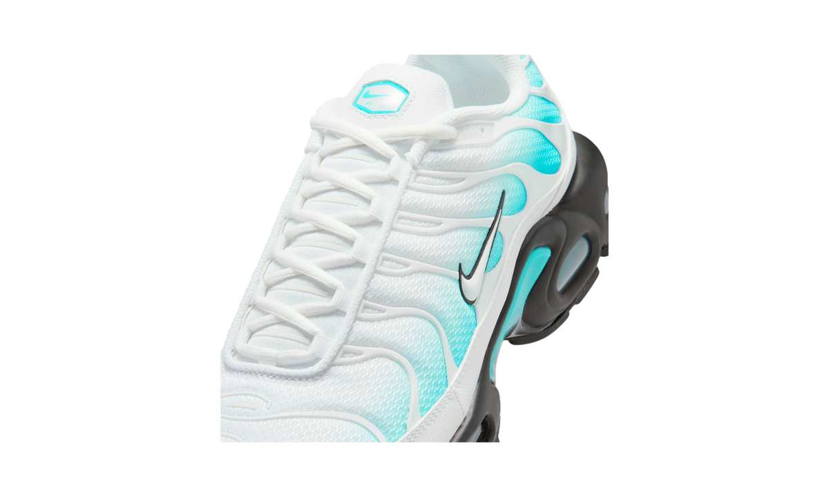 Overkicks - Nike Air Max Plus Dusty Cactus/Black/White (IU7539-345) - detalle lateral interior
