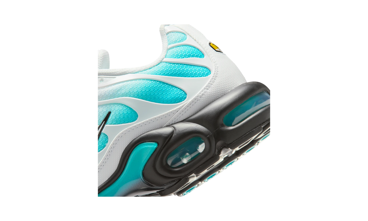 Overkicks - Nike Air Max Plus Dusty Cactus/Black/White (IU7539-345) - detalle
