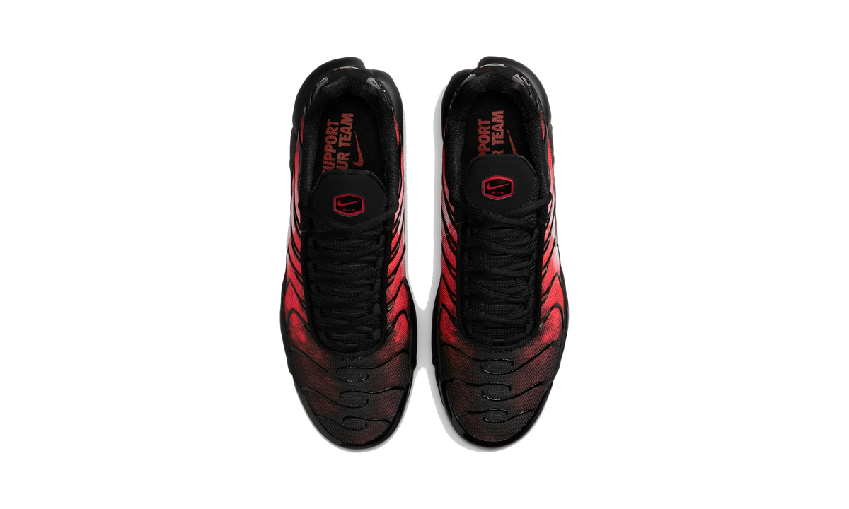 Overkicks - Nike Air Max Plus Flairemax (IR1998-001) - vista superior